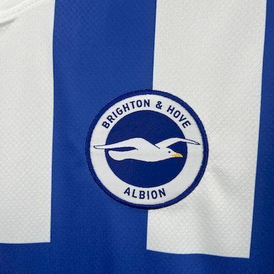 Brighton & Hove Albion 25/26 (Home)