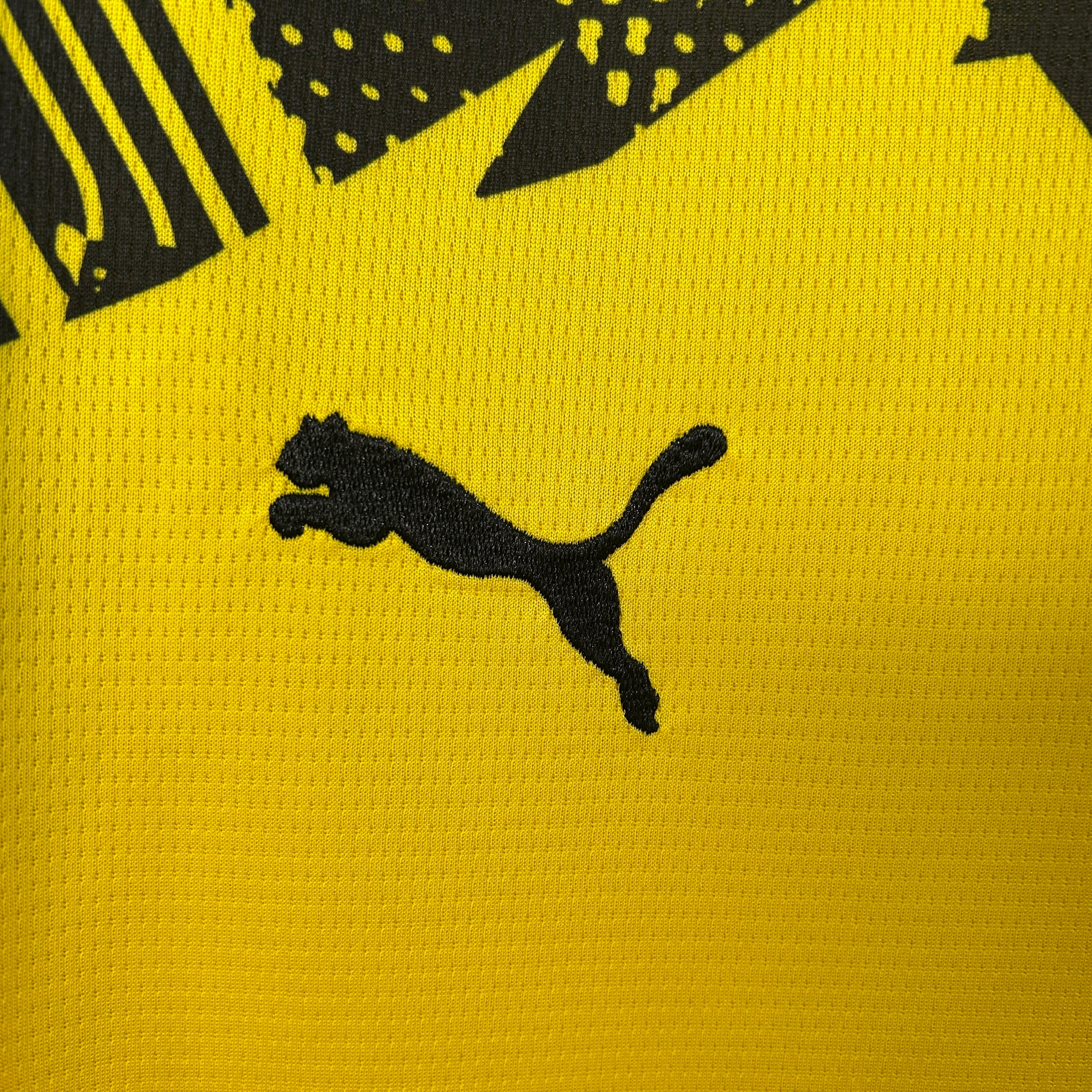 Borussia Dortmund 25/26 Home
